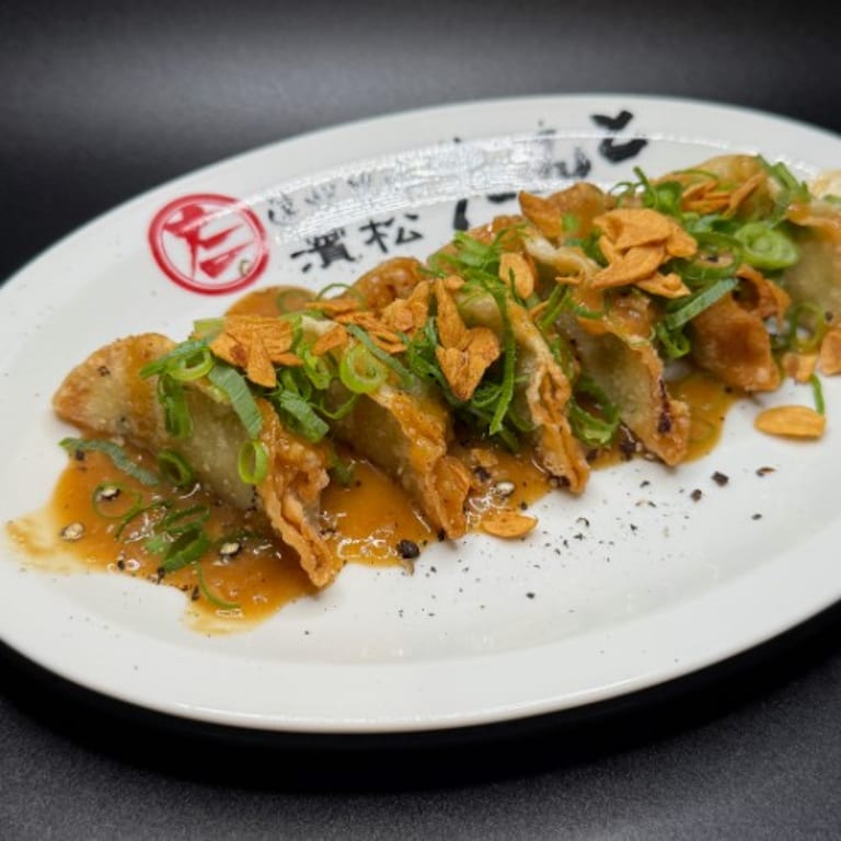 Savor Our Gyoza